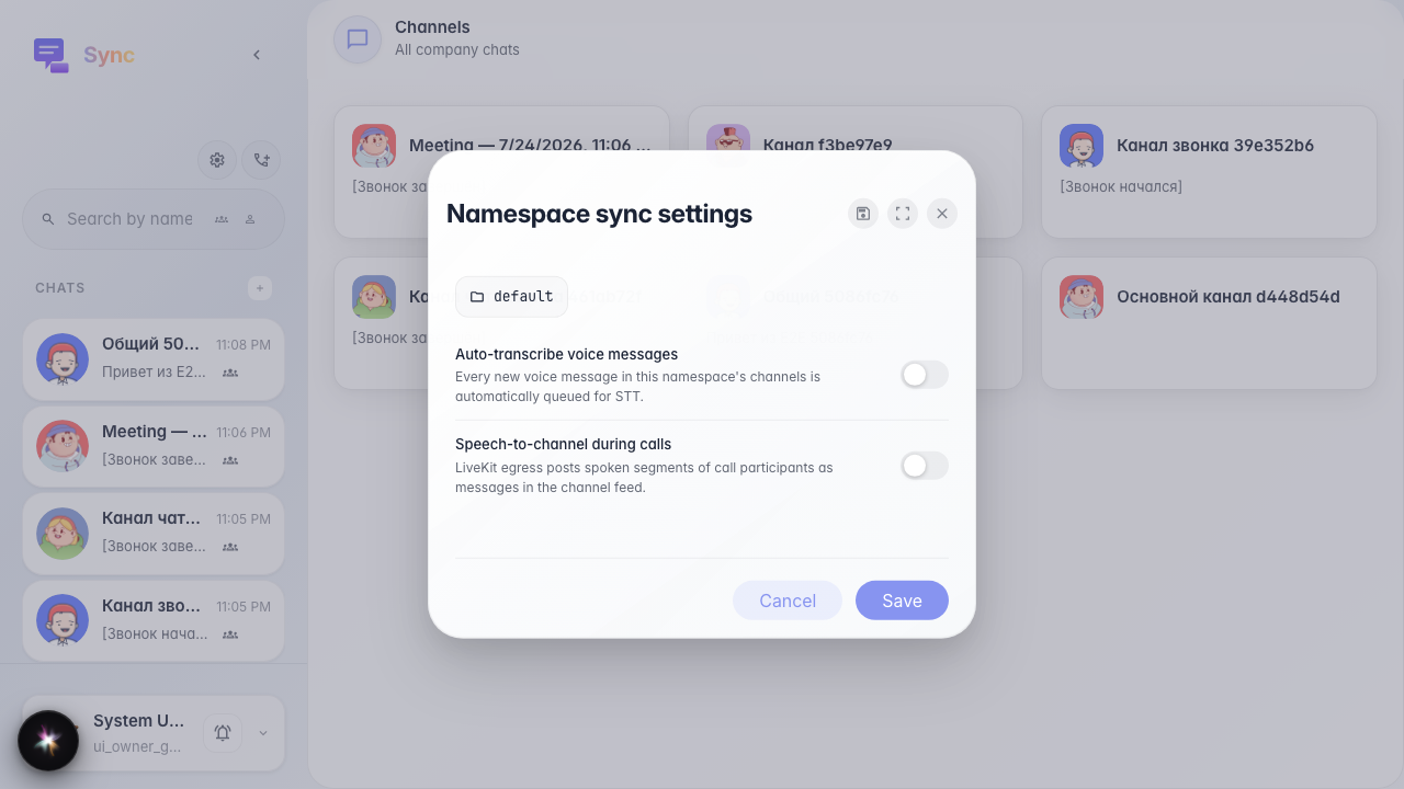 Открыты настройки Sync компании